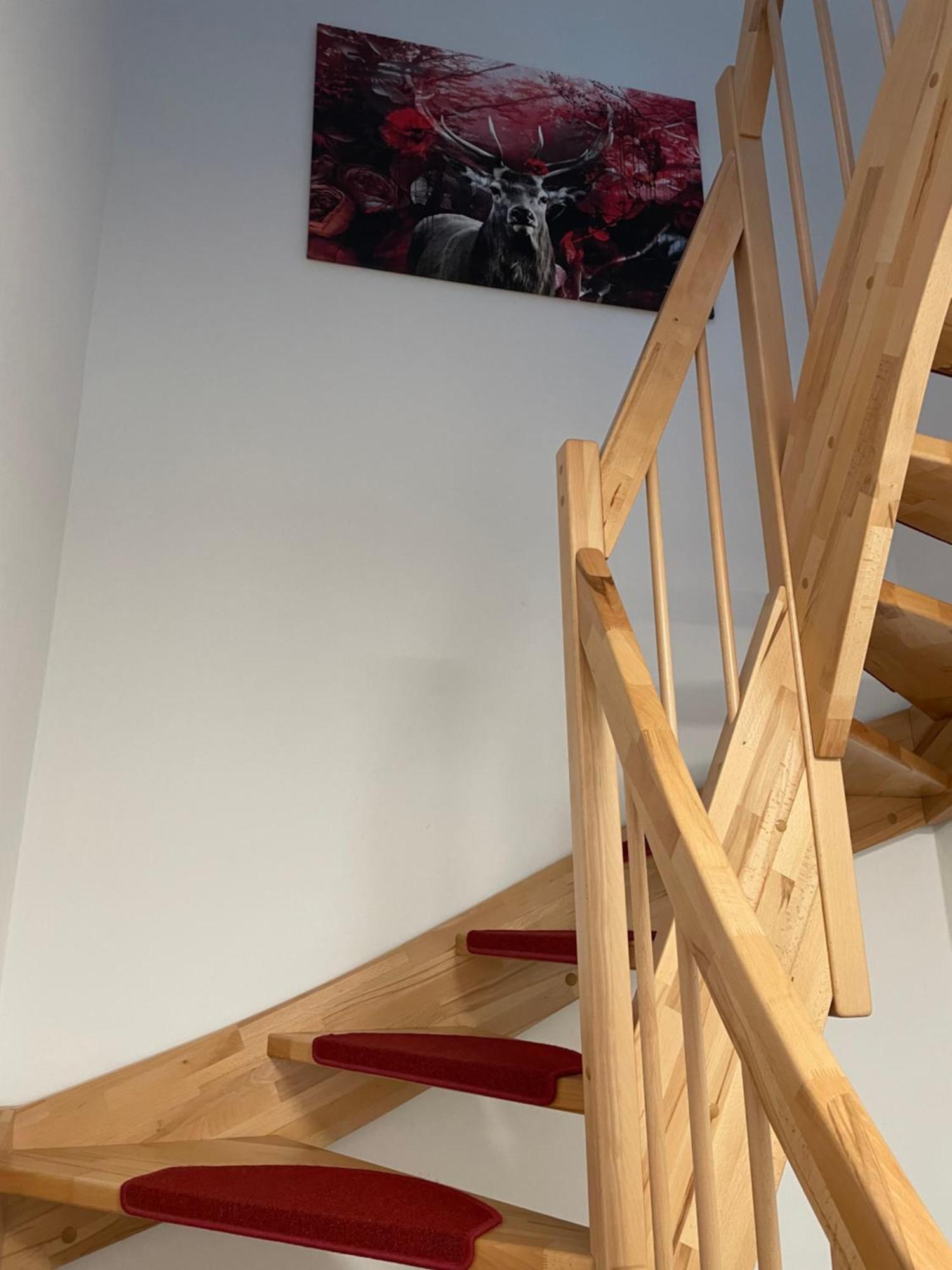 Ferienwohnung Im Gruenen Oranienburg Zewnętrze zdjęcie